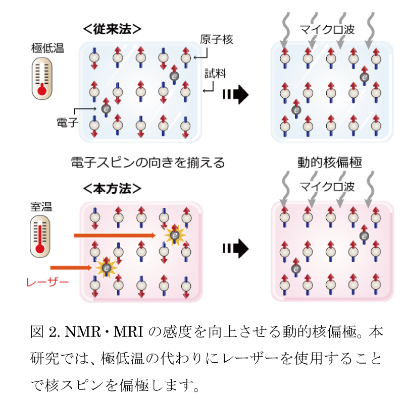 動的核偏極概念図