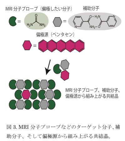 ターゲット分子の図