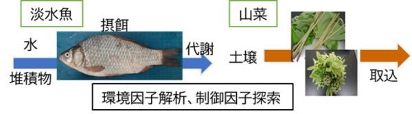環境因子解析、制御因子探索