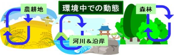 環境中での物質動態