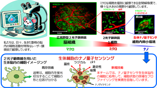 研究の概要図