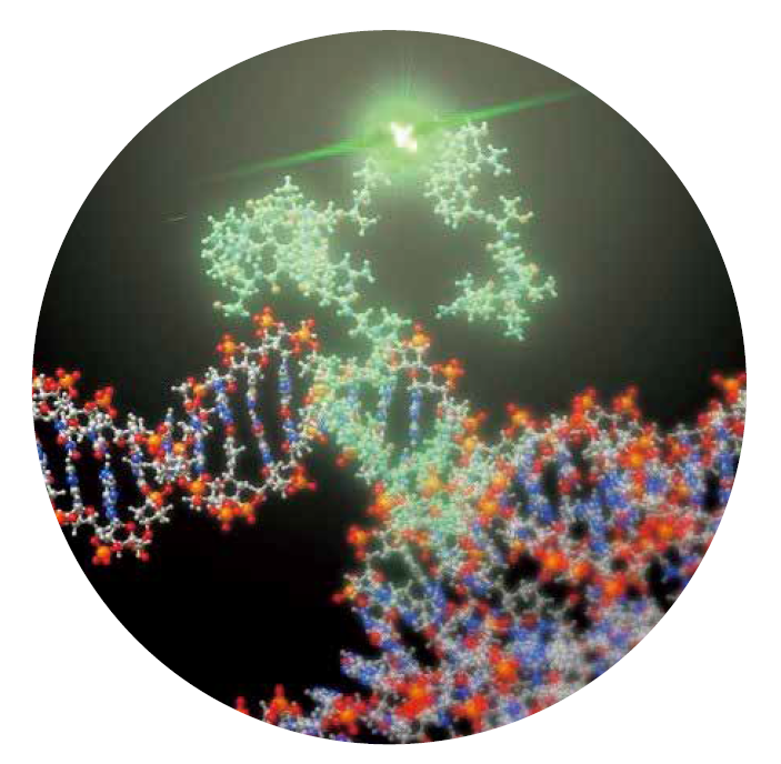 Quantum theoretical elucidation and mimicry of life phenomena