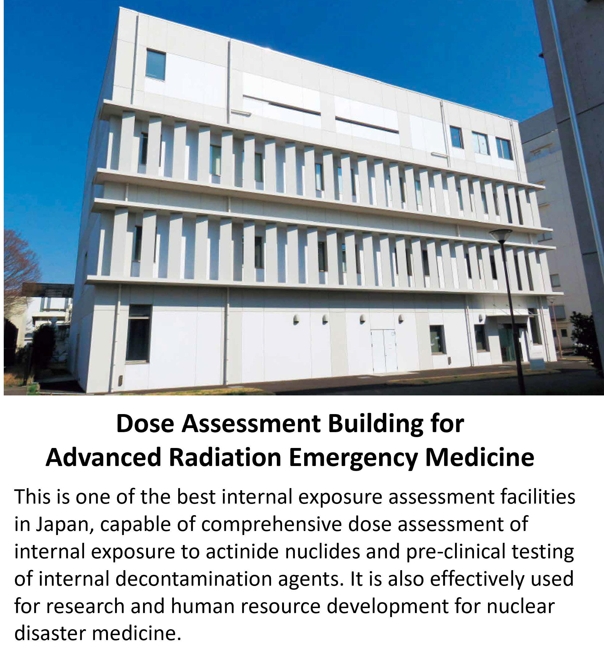 Dose Assessment Building for Advanced Radiation Emergency Medicine