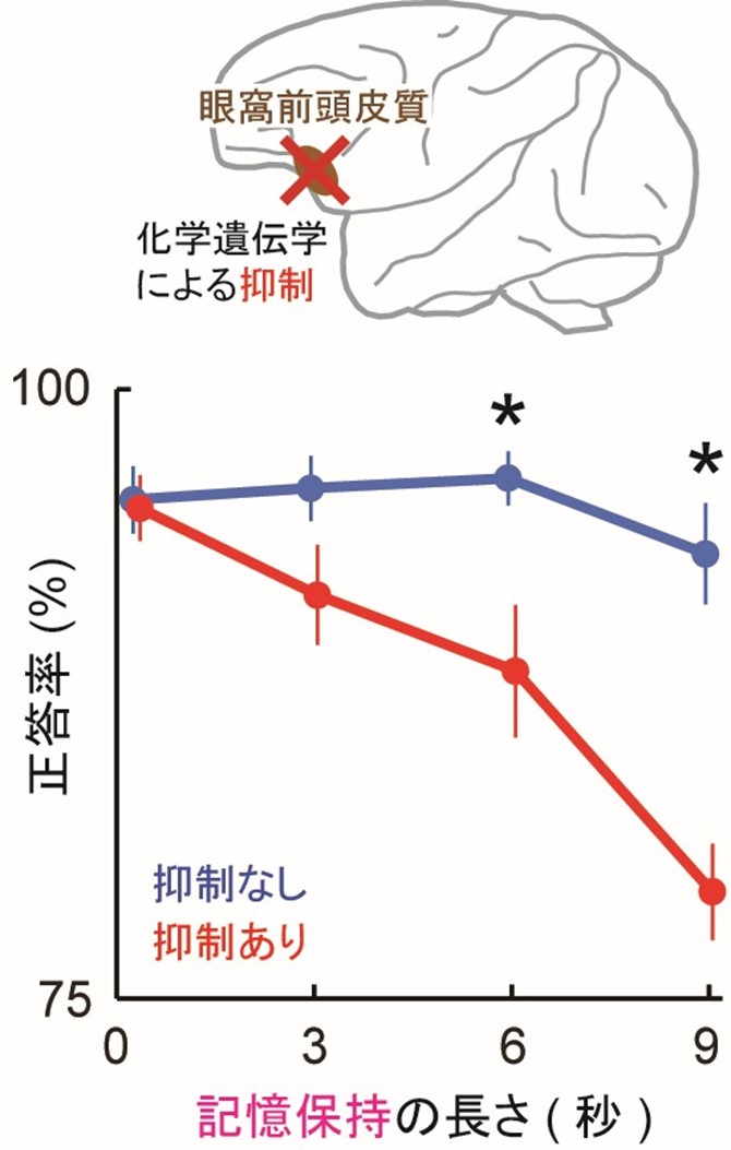 視覚記憶の障害は、抑制ありとなしの間で統計的に有意な差があることを表す