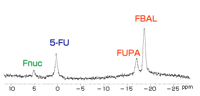 5-FUを経口投与したマウスの19F全身スペクトル