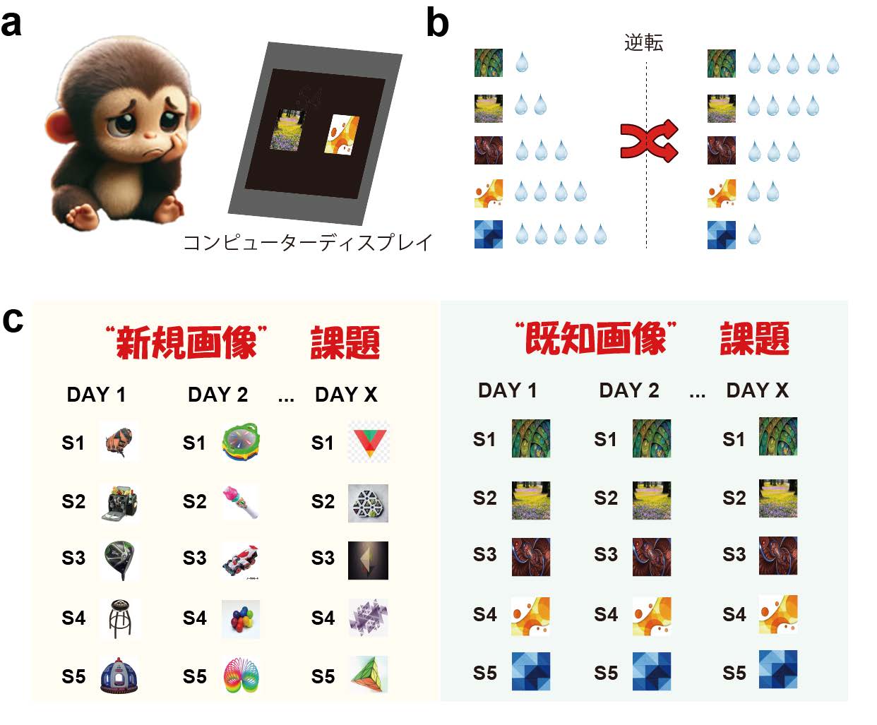 実験に使った２つの行動課題の図