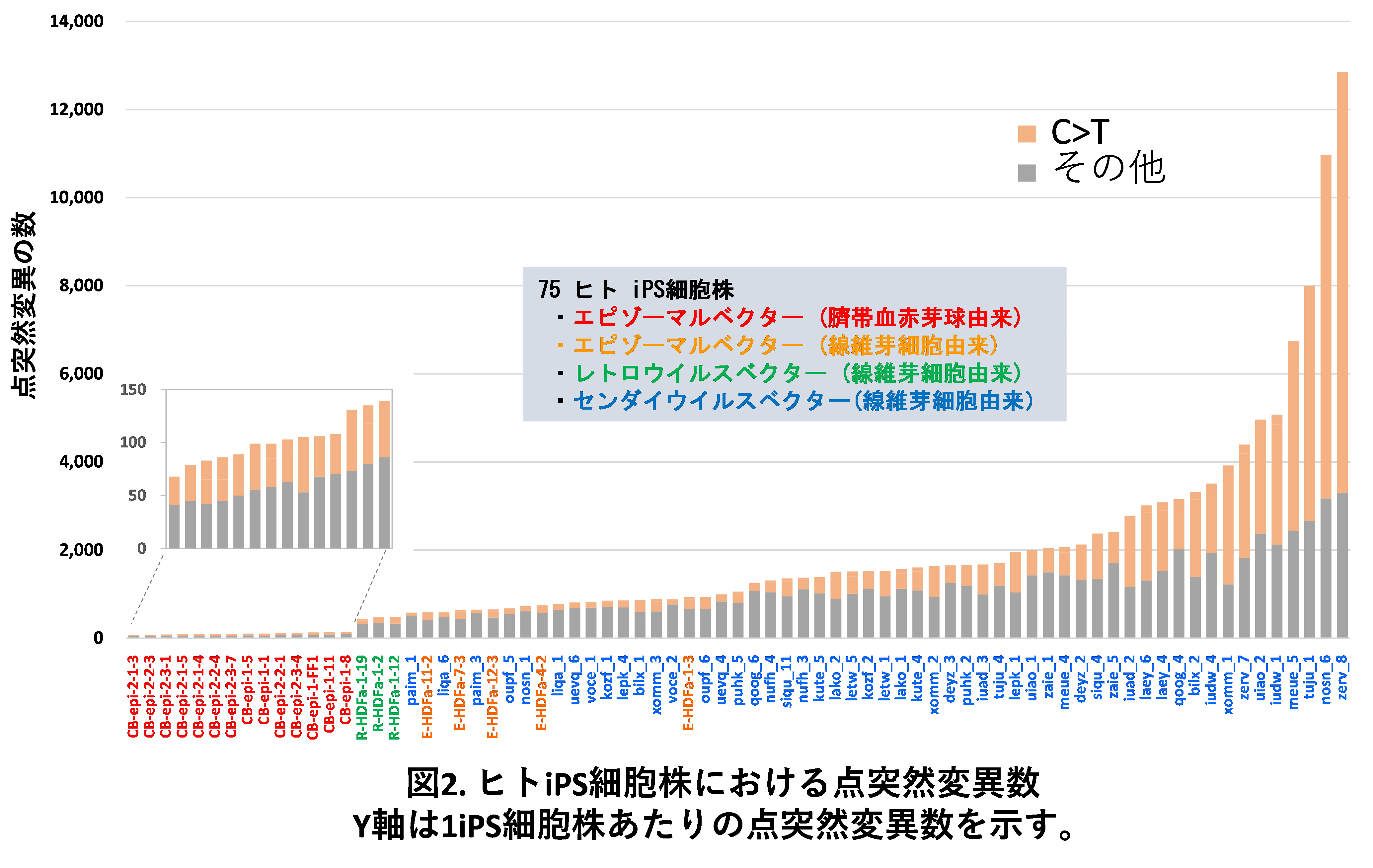 ヒトiPS細胞株における点突然変異数のグラフ