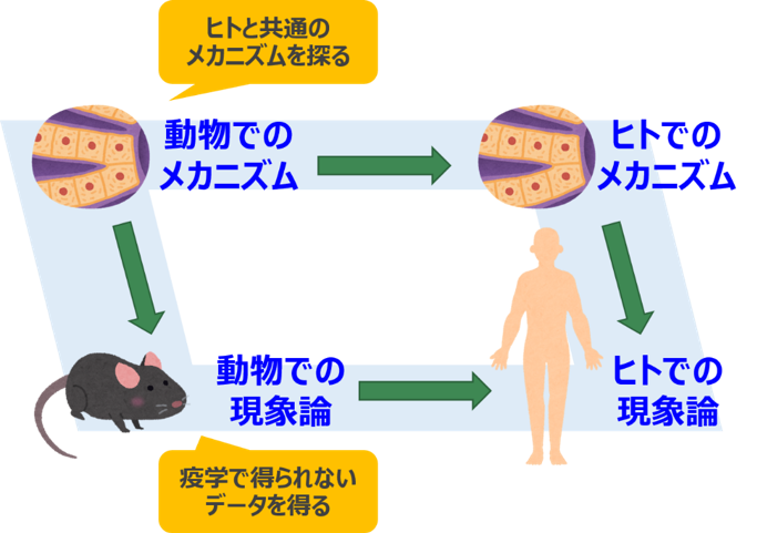 research-1