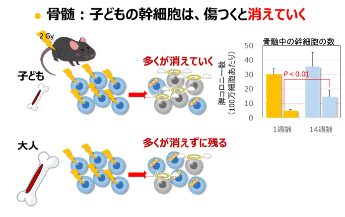 research-3
