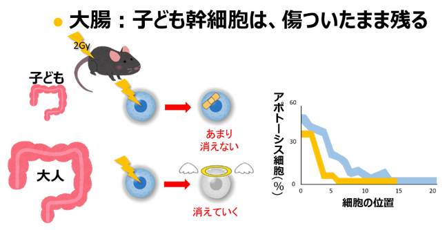 research-4