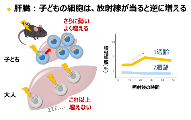 research-5