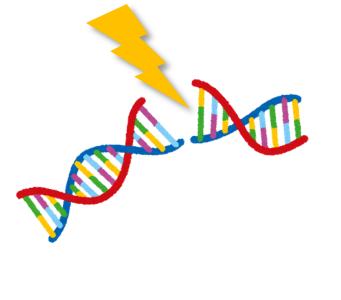 research-6