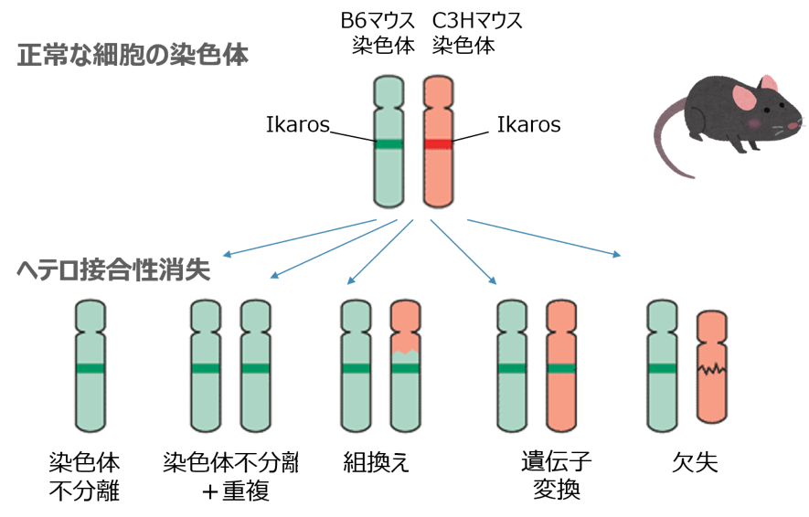 research-9