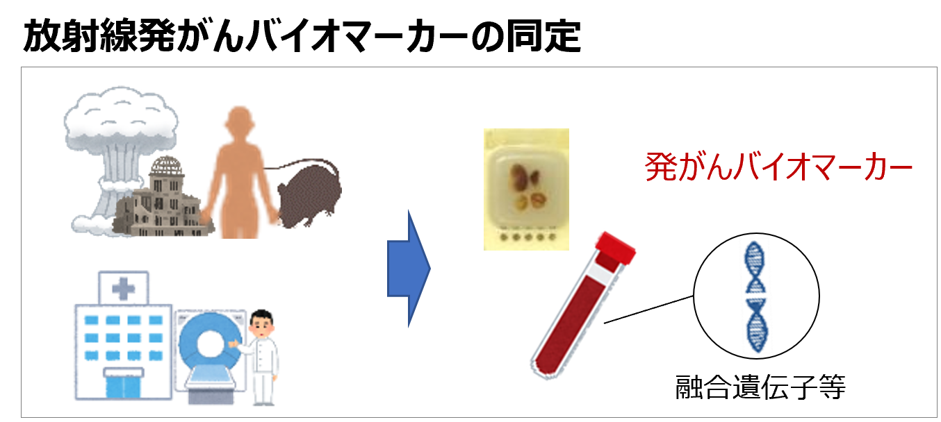 groups-1