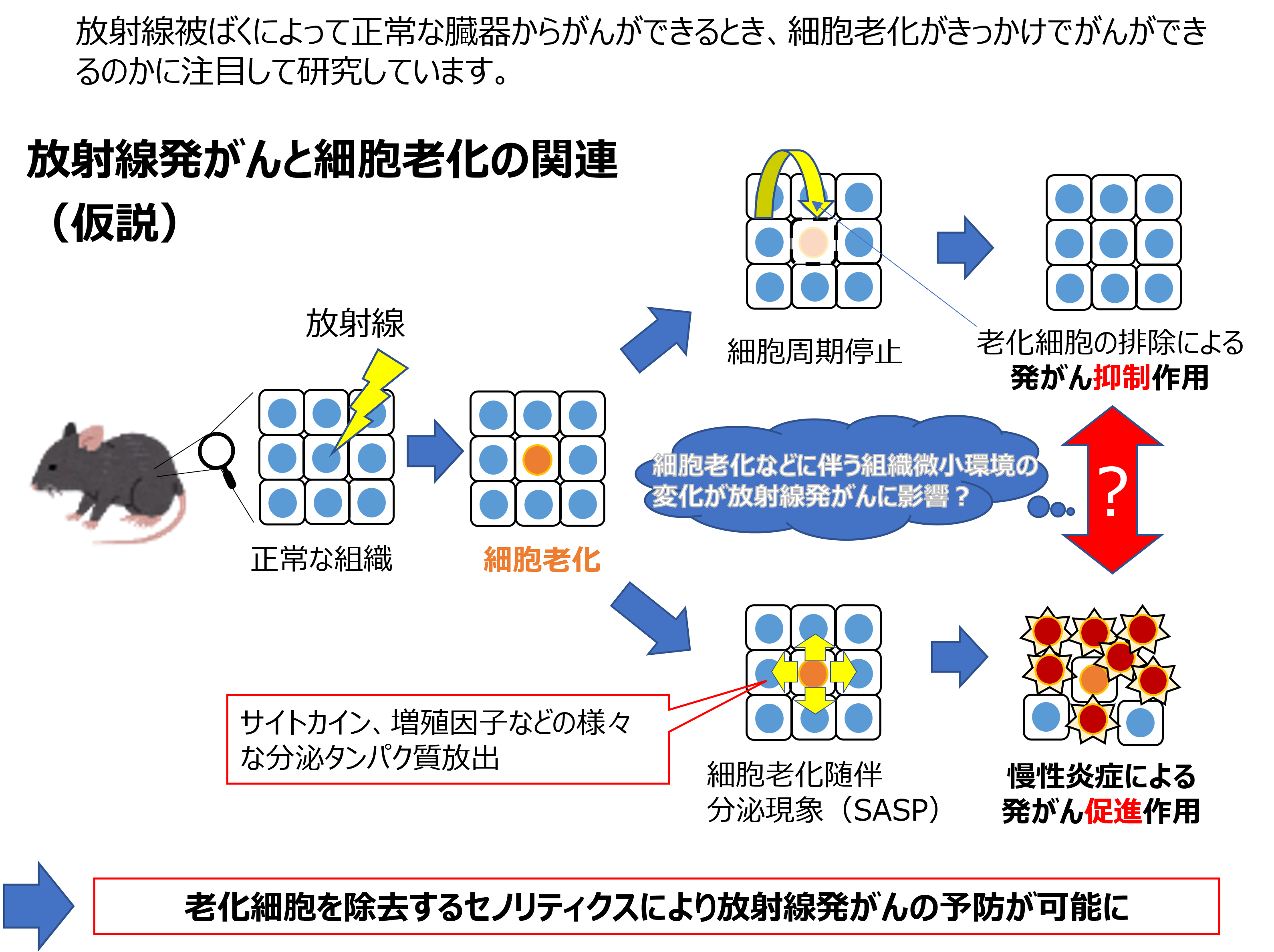 groups-5