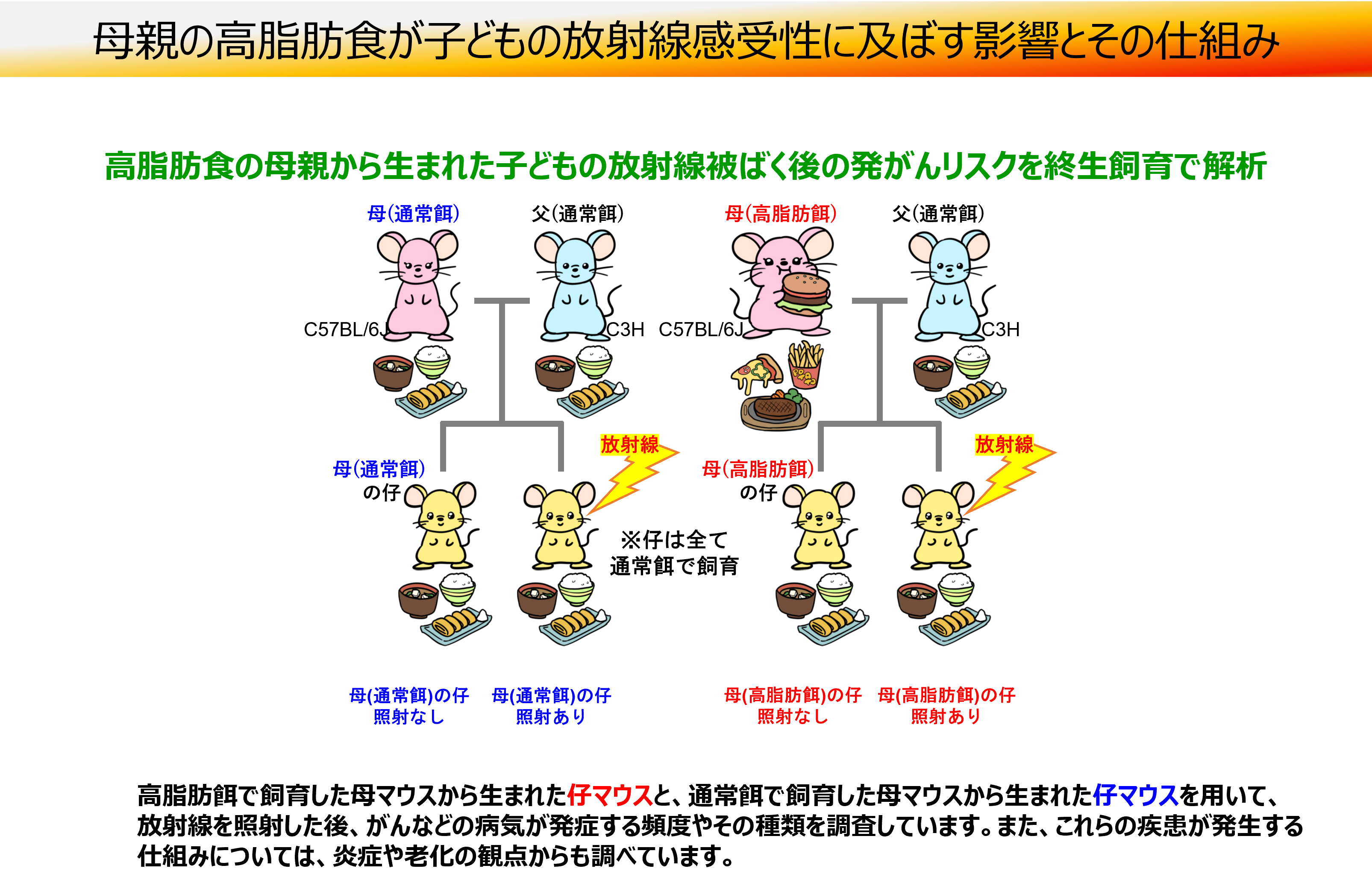 groups-4