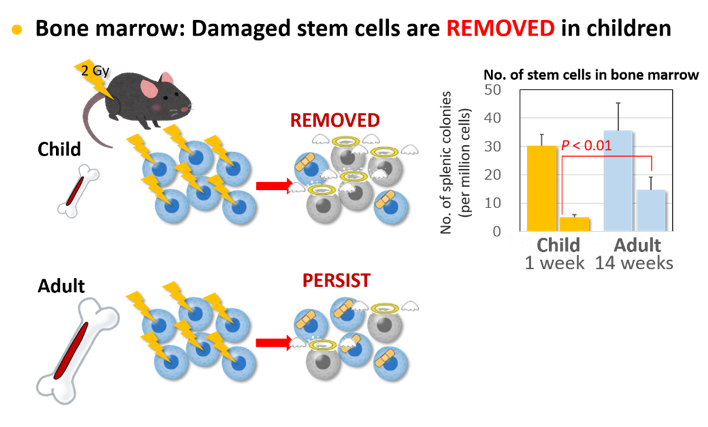 research-en-3