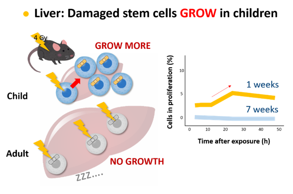 research-en-5