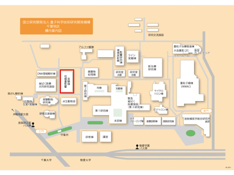access-2