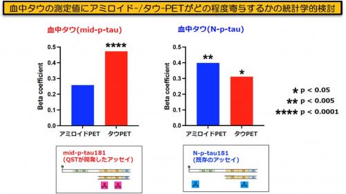 血中タウの測定値に、アミロイドおよびタウPET検査の測定値がどの程度寄与しているかを示す棒グラフ