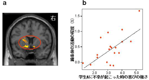 研究手法と結果の画像3