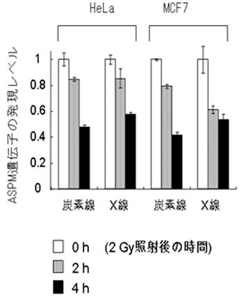 研究手法と成果