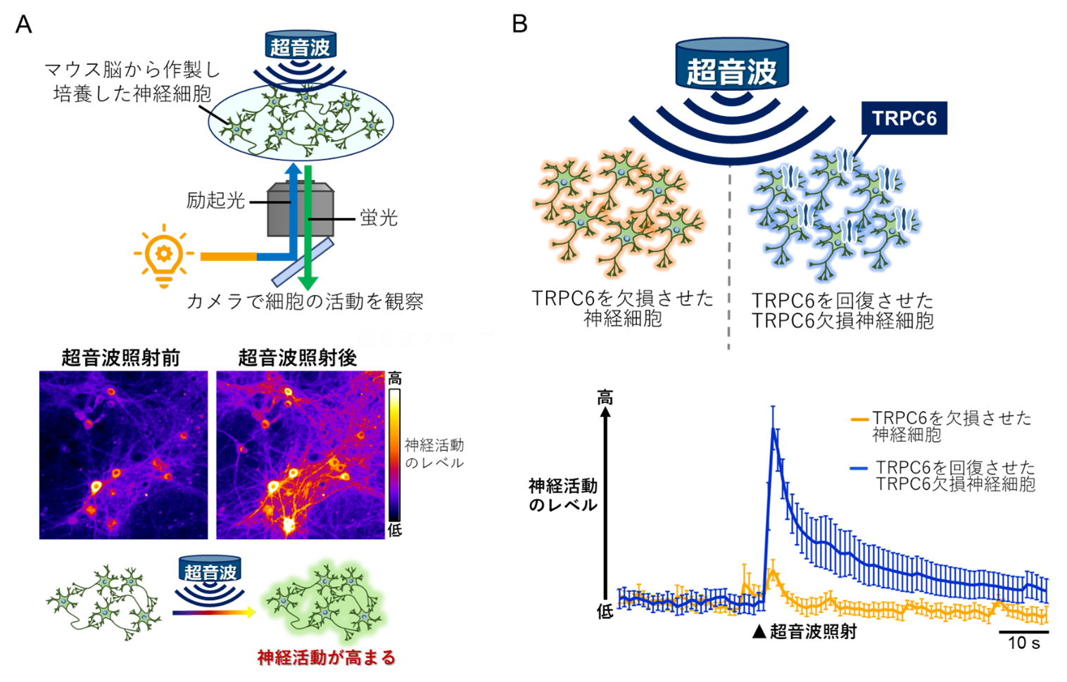 リアルタイムで顕微鏡観察できる実験システムの概略図など