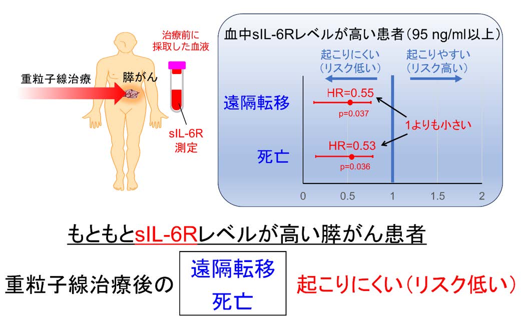 膵臓がんに対する重粒子線治療の予後を予測する血中バイオマーカーを特定～患者に最適な医療の選択に期待～