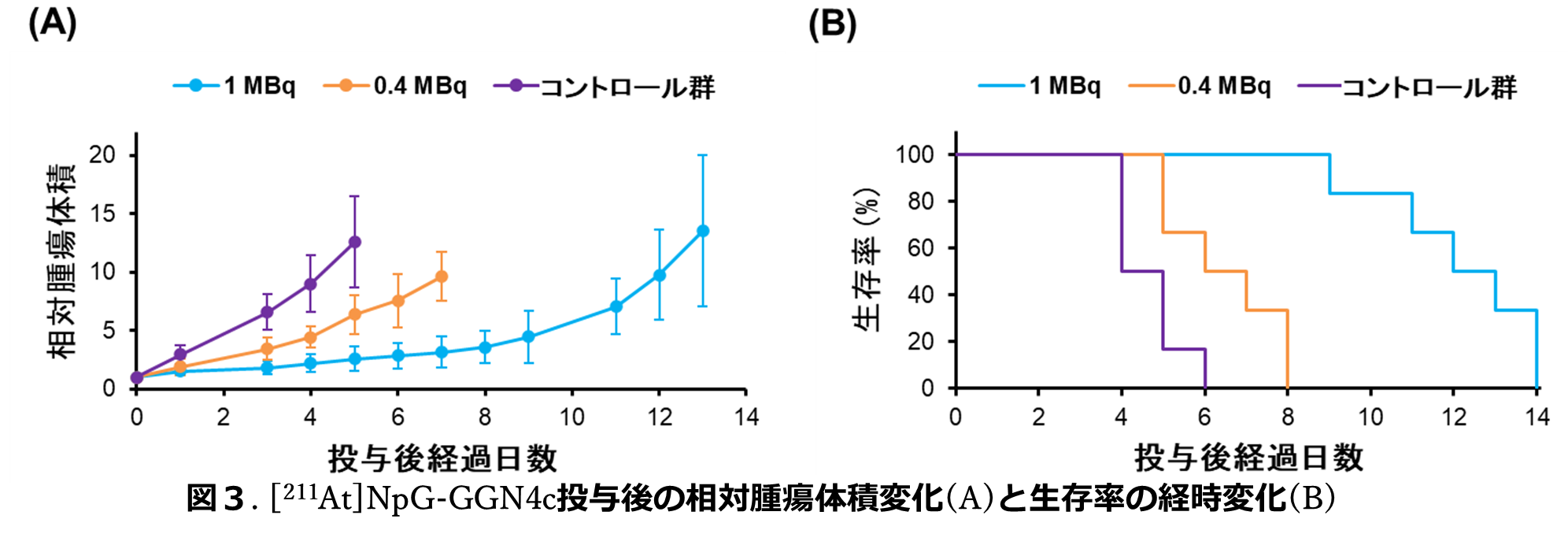 相対腫瘍体積変化と生存率の経時変化