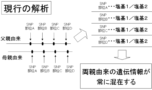 現在開発が進められている遺伝情報解読技術。両親由来の対立遺伝子を識別することが困難なため、ミックスしたまま取り扱われている