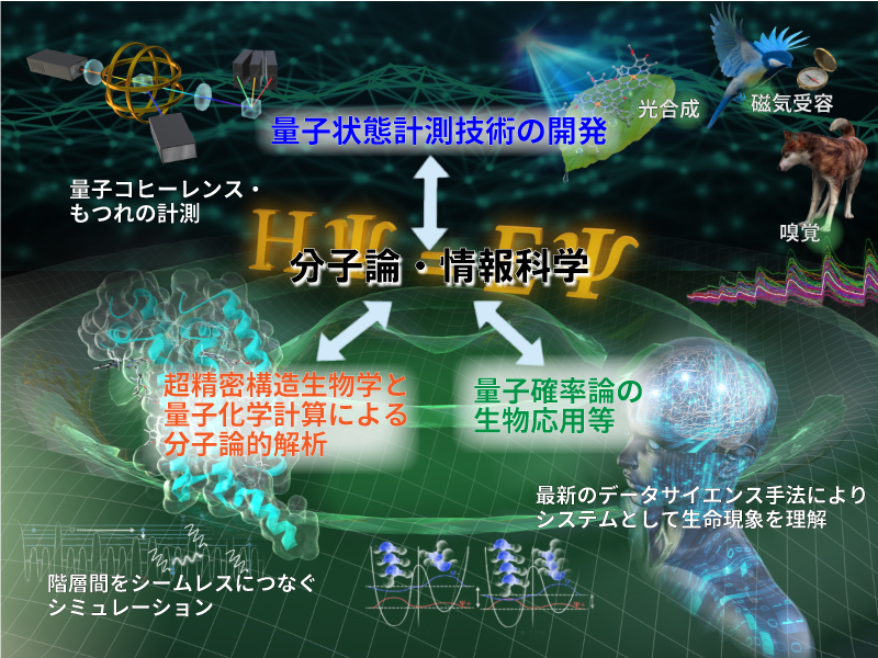 グループC概要図