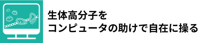 生体分子シミュレーションチームタイトル