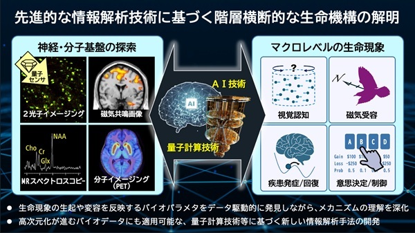 チーム研究概要図
