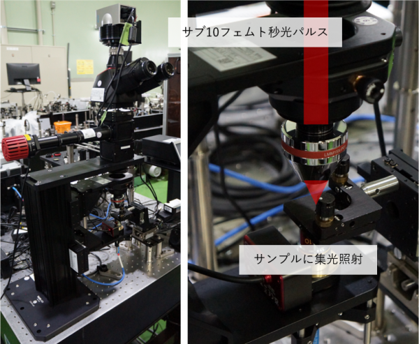  （左）顕微照射装置の全体図。（右）照射部の拡大図。の画像