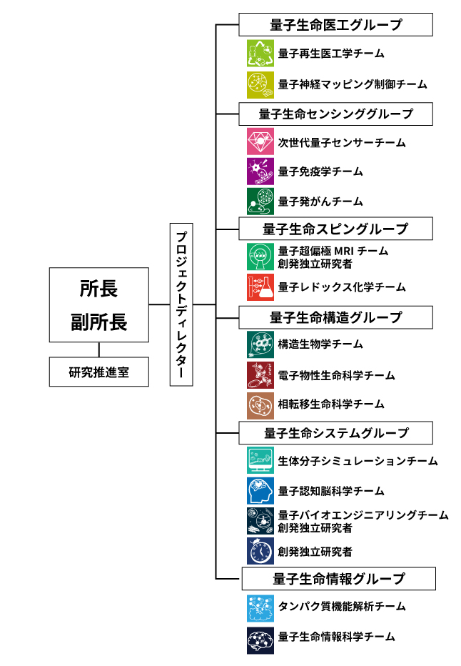体制図