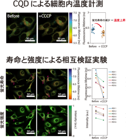 量子ドット3