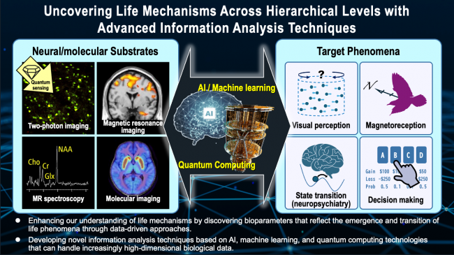 Uncovering Life Mechanisms Across Hierarchial Levels with Advanced Information Analysis Techniques