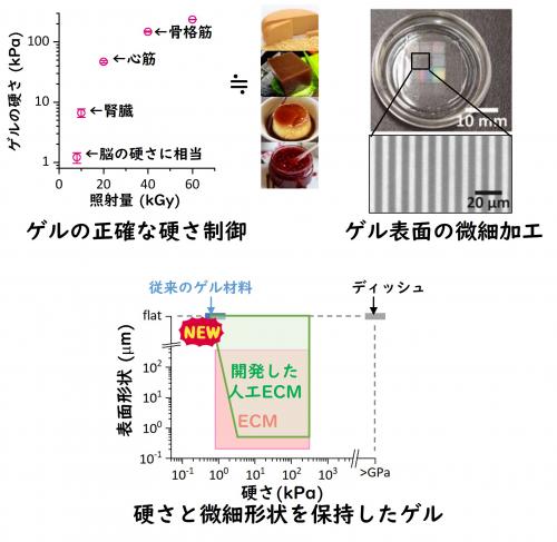 ゲル