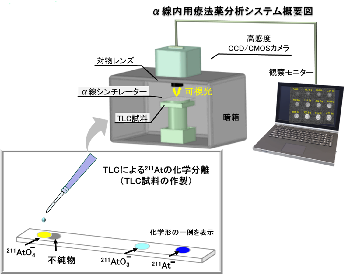 開発した分析システムの全体構造と薄層クロマトグラフィーにより化学分離したTLC試料