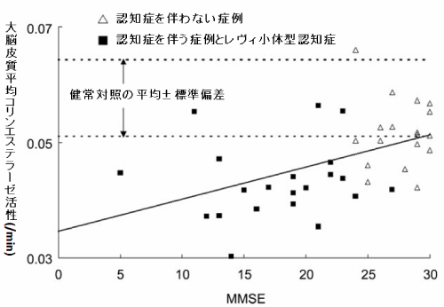 患者群のMMSEの総得点と大脳皮質コリンエステラーゼ活性。