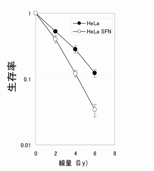 研究手法と結果の画像1