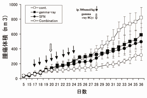 研究手法と結果の画像4