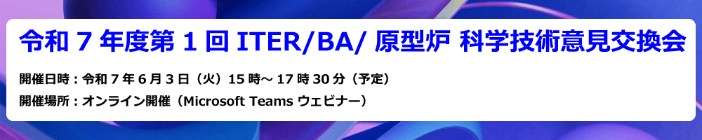 令和7年度第1回ITER/BA/原型炉 科学技術意見交換会