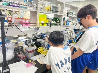 薬効評価