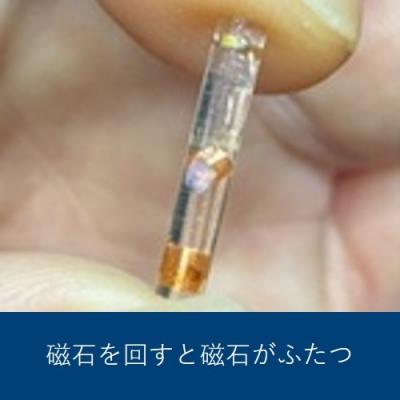 磁石を回すと磁石がふたつ