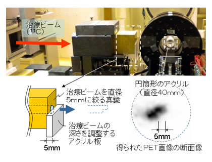 重粒子線がん治療装置HIMACにて、人体に見立てたアクリル円筒に入射した重粒子線を即時に3次元画像化した結果