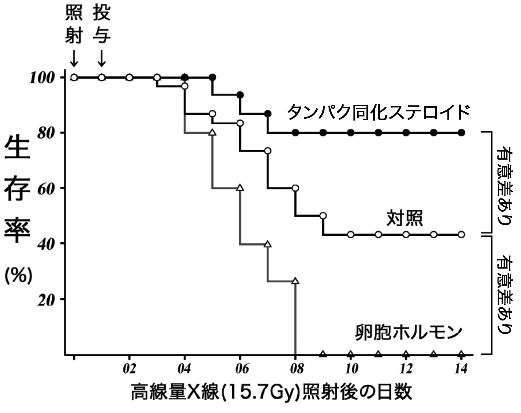 放射線の腹部照射に対するタンパク同化ステロイド及び卵胞ホルモンの効果。