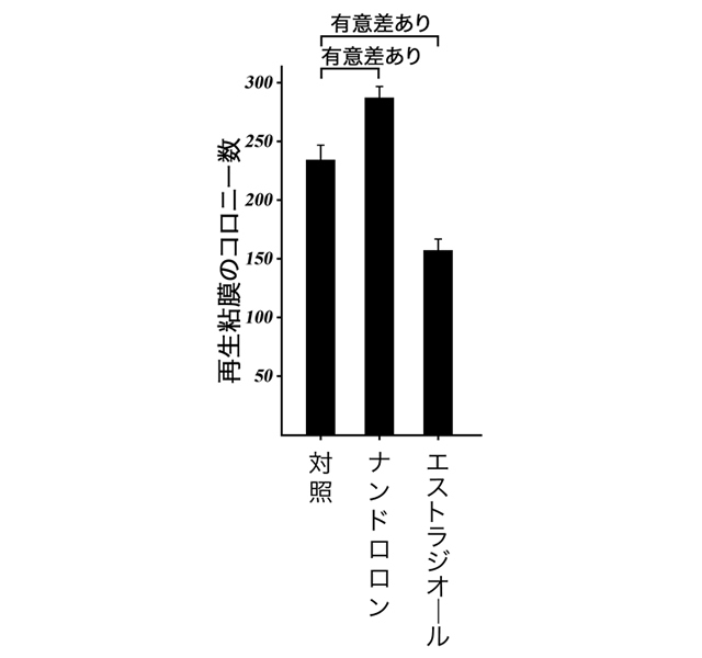 放射線障害後の小腸粘膜再生に対するタンパク同化ステロイド及び卵胞ホルモンの影響