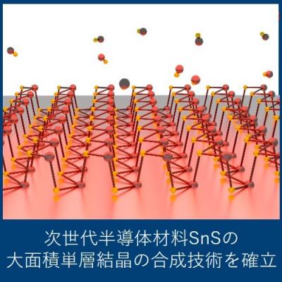 次世代半導体材料SnS
