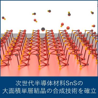 次世代半導体材料SnS